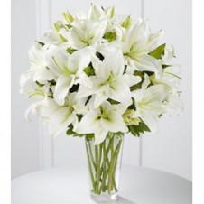 8Pcs White Star Gazer Lilies in a Vase